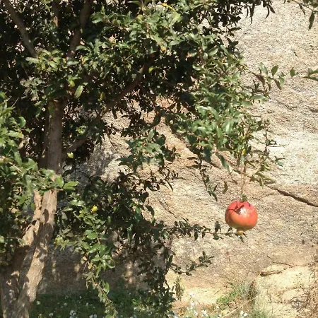 Vrachos * آغيوس بروكوبيوس